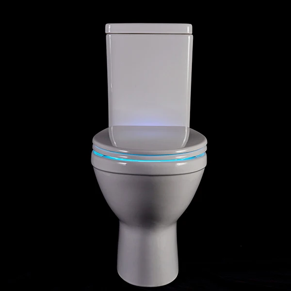 Standard D shape  urea Led blue  night light motion sensor  toilet seat nightlight