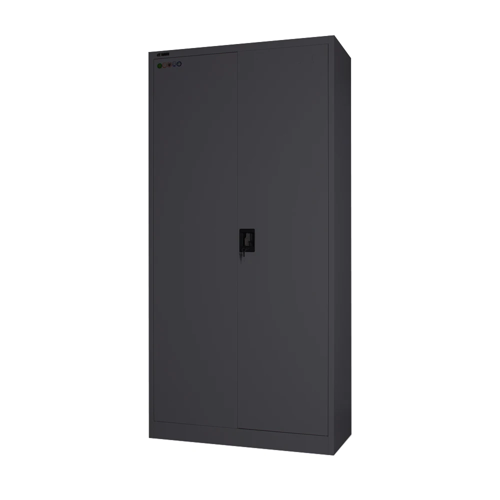 Metal Cabinet Storage 2 Door File Cabinet with Swing Door Office Furniture