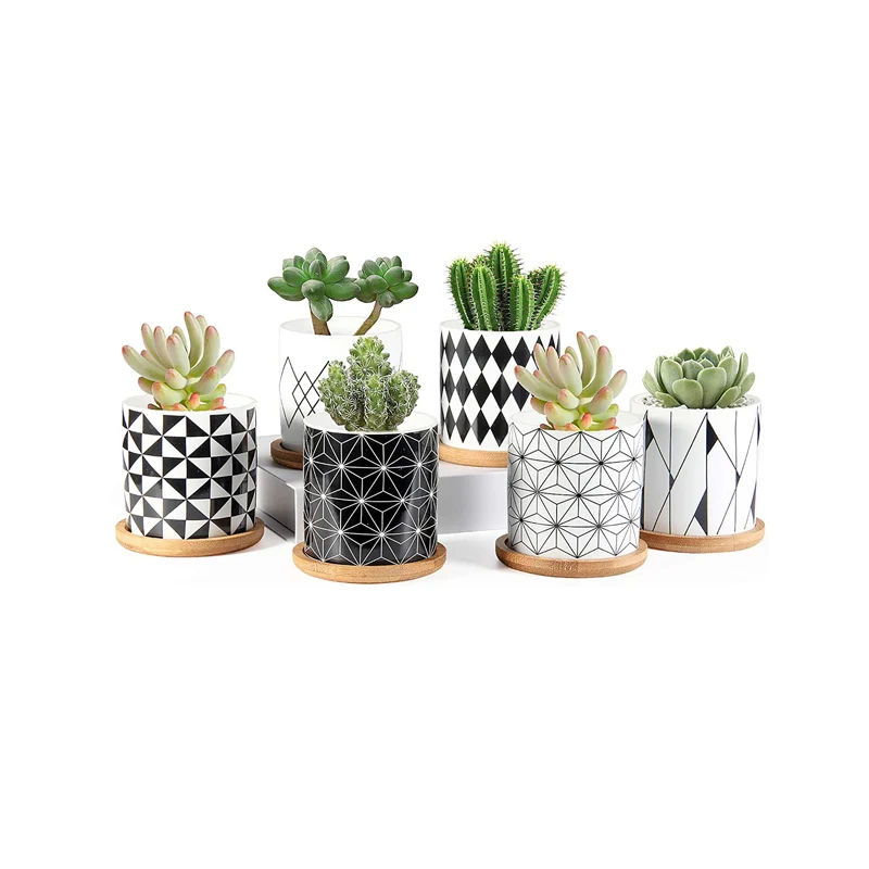 Ceramic Mini Succulent Planter Pot, Geometric Pattern Round Small Flower Pots with Drainage and Bamboo Tray