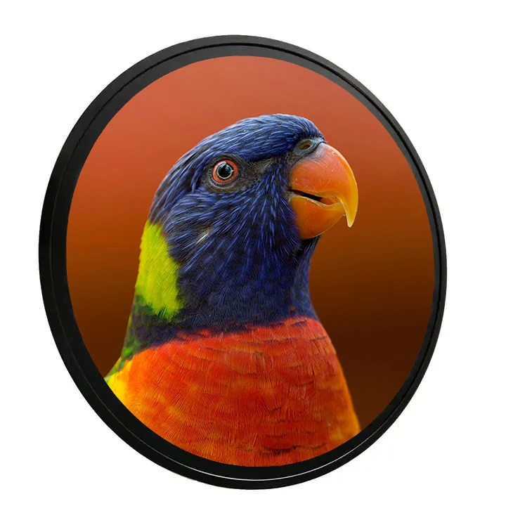 Full HD Round Screen LED LCD Display Panels Media Player Digital Signage Circular for Advertising Video Logo