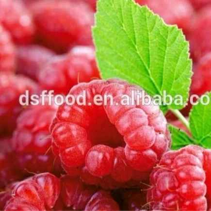 frozen vegetables and fruits Experienced Delicious Red Organic Raspberry