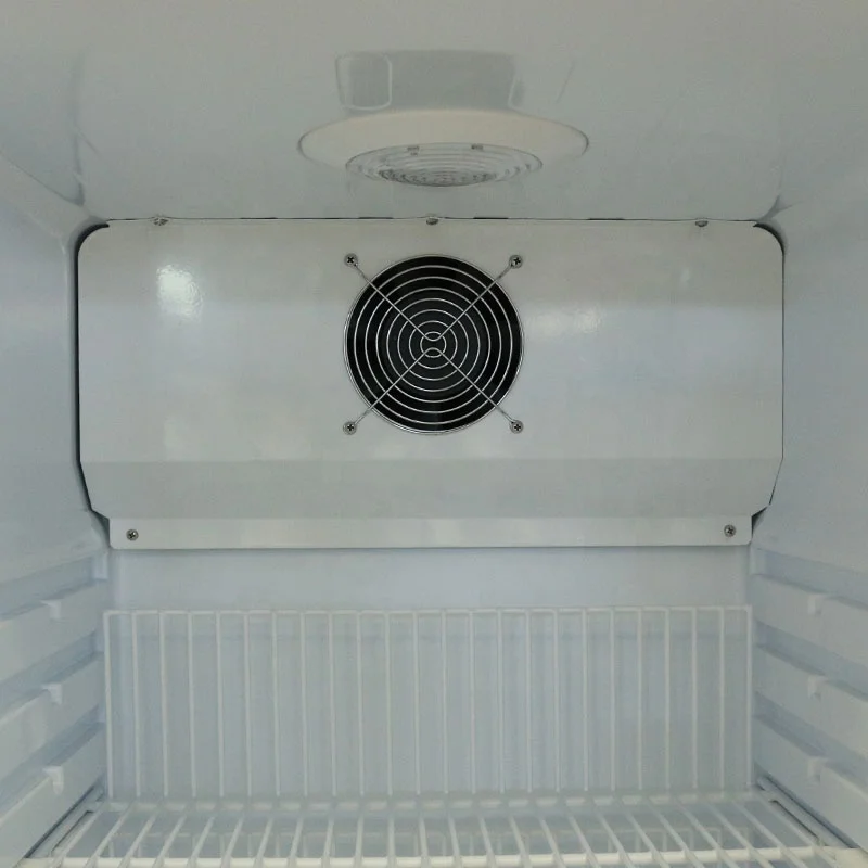 Biobase China  Freezer Double Design -25 Celsius Freezer for PCR Lab