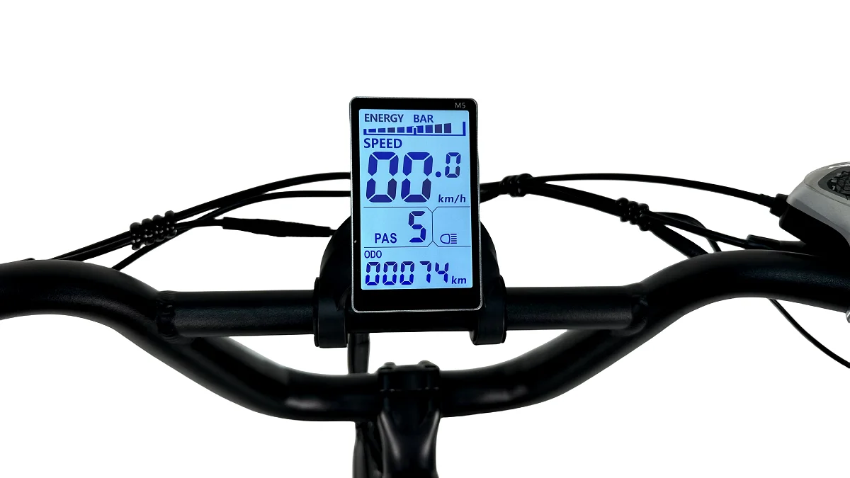 QUEENE/Free Shipping warehouse 20inch 48v 15ah lithium battery Mountain E Bike with 750W 1000W motor for Adult bike electric