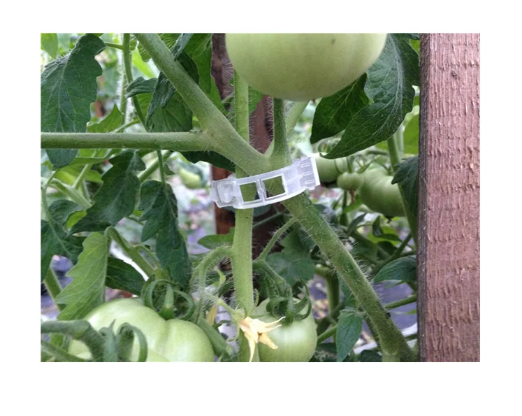 High Effective Tomato Plant Plastic Grafting Clips Different Types Plastic Fixing Clip