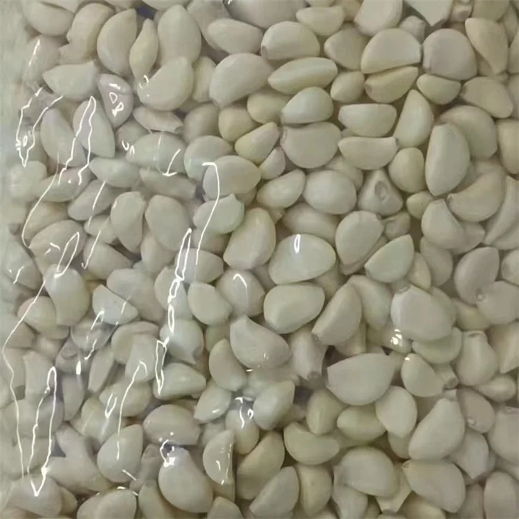 Поставщик WOHUA, свежий очищенный чеснок, 5 фунтов, очищенный чеснок, вакуумная упаковка, свежий очищенный чеснок из Китая