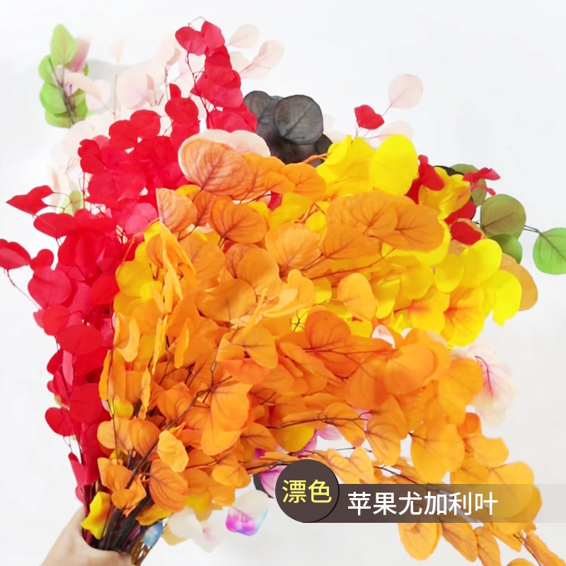 GH-031 Preserved eucalyptus branches silver dollar eucalyptus for vase wedding flower arrangements