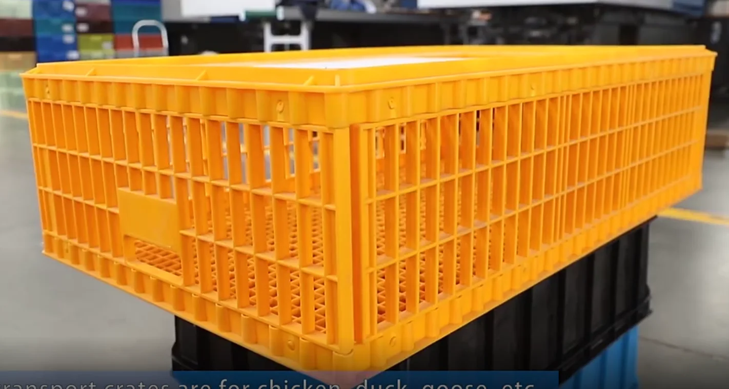 capacity 20-22 chicken transport crate live poultry Carrier HJ-DN015