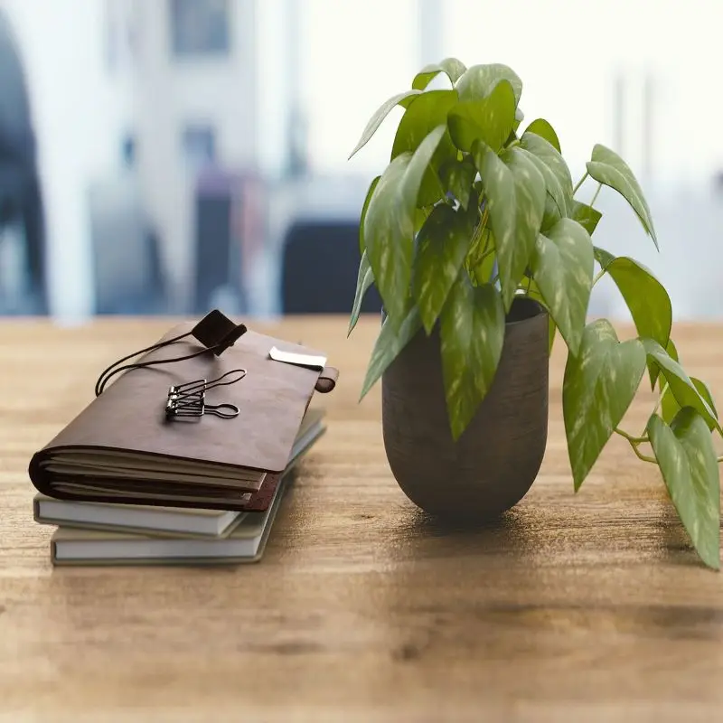 Handmade Refillable Genuine Journal Diaries with Leather Notebook - 8.5 x 4.5 Travel Diary with 5 Inserts