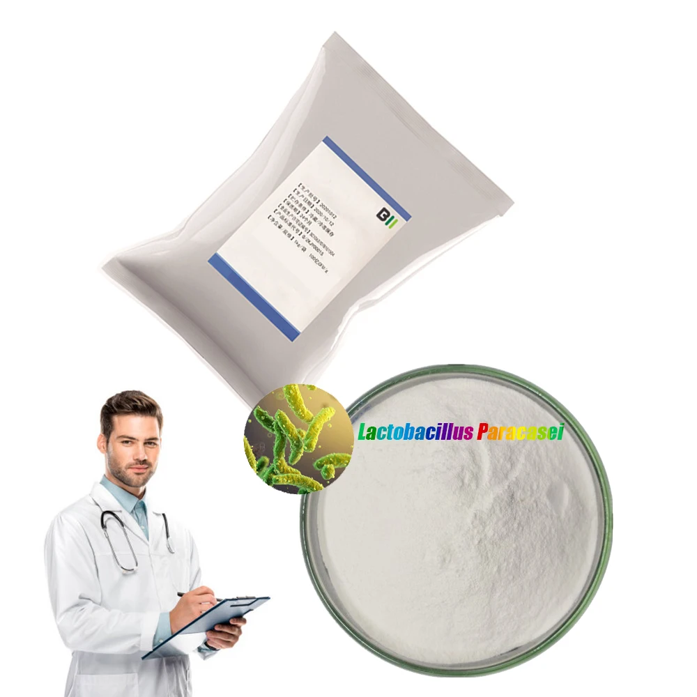 High grade Freeze dried probiotics powder of Lactobacillus paracasei for fermented foods and probiotic-fortified foods