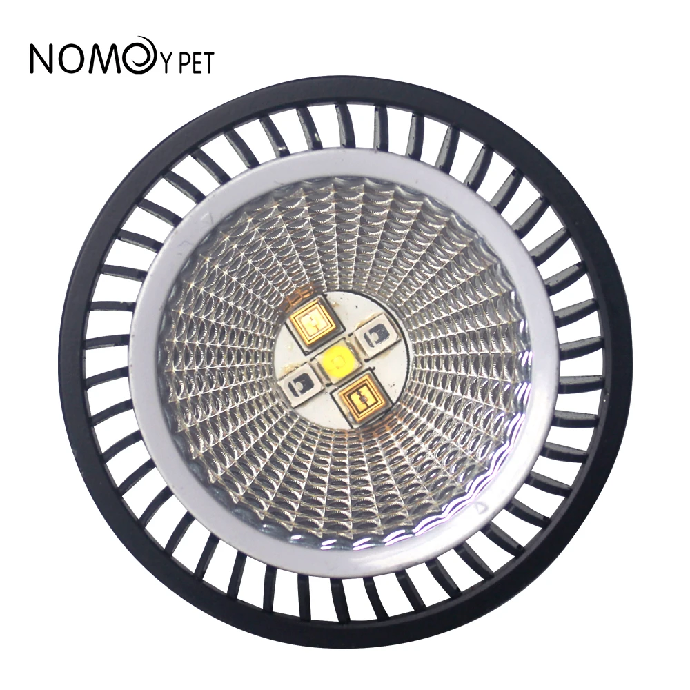 Pet LED calcium 3W basking UVA + UVB LED Reptile Light Turtle Basking Platform Full Spectrum Lamp Sunbathe Heat Lamp for Lizard