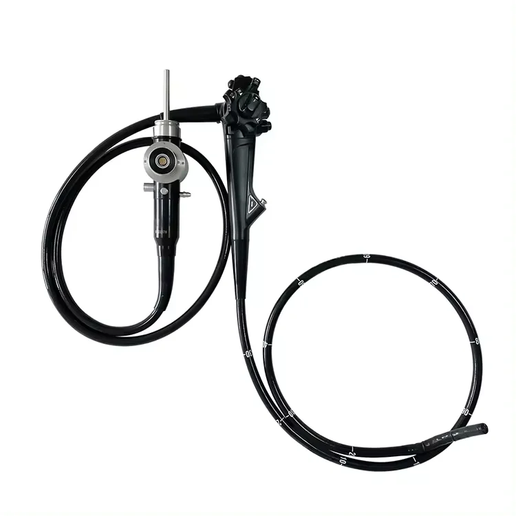 VET Veterinary Adjustable Pet Endoscope Veterinary Instrument Vet Video Gastroscope For Pet Clinic
