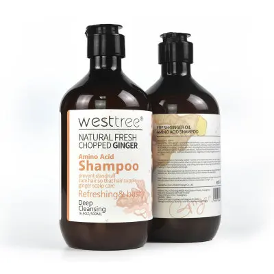 XBY OEM 100% чистый натуральный аргановое масло освежающий шампунь для роста волос против выпадения имбирный и