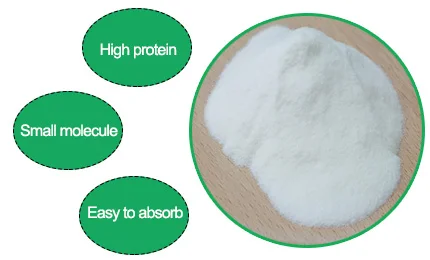 Protein 99% chicken collagen type ii powder hydrolyzed type ii collagen