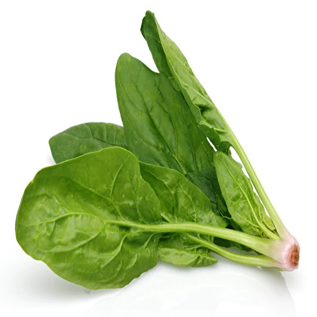 rooting hormones raw materials giberellic acid GA3 90% tc in plant growth regulator gibb