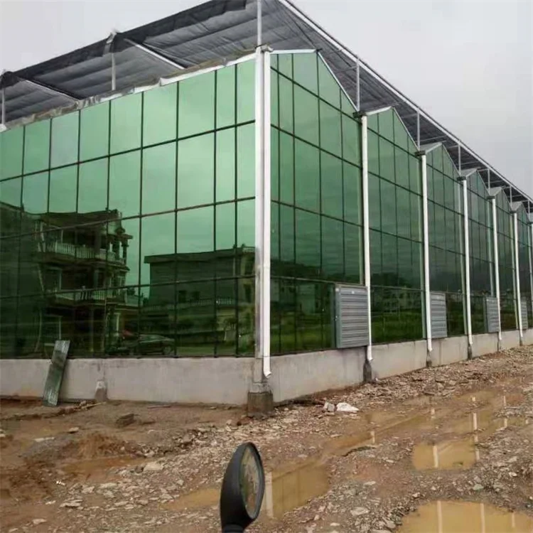 Tempered Glass Venlo Multi-Span Automatic Green House Commercial Hydroponics Glass Greenhouse