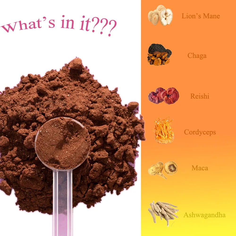 Private Label/ OEM Premium Mushroom Cocoa Drink Cordyceps Chaga Reishi Lions Mane Ashwaganda Maca Mushroom Mix Cocoa Beverage