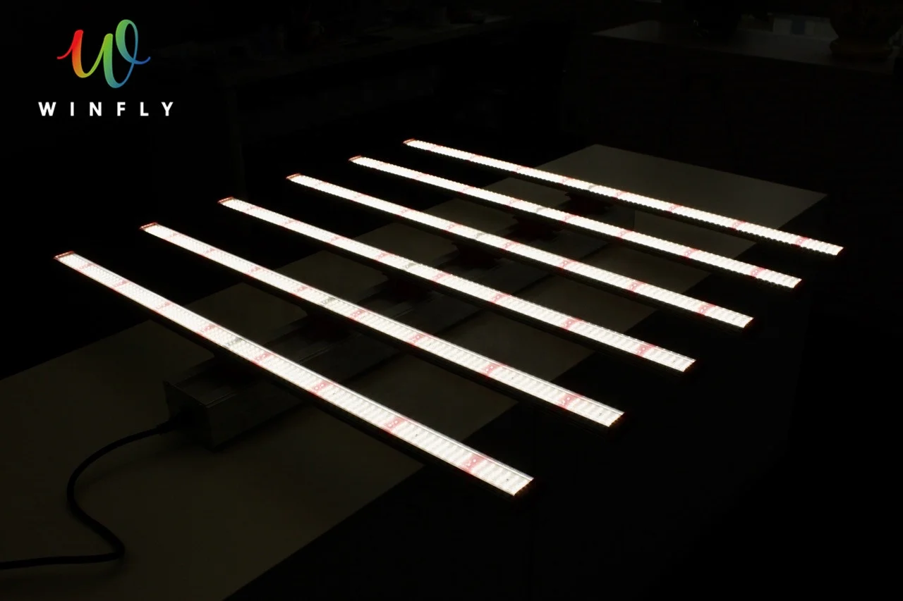 
Fast Installation 2021 Best LED Grow Light 600W Full Spectrum Canada Stock Fast Delivery More Harvests 