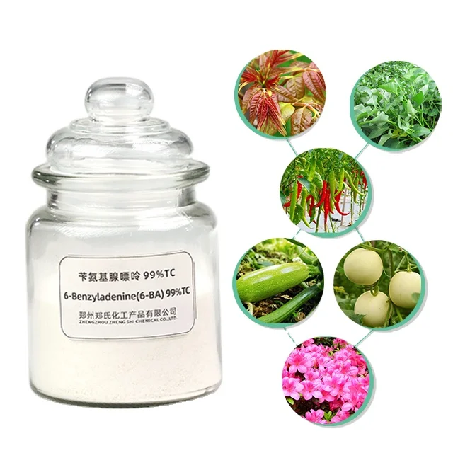 6-benzylaminopurine manufacturer, 6-BA, 98%TC, benzylaminopurine,benzyl amino purine