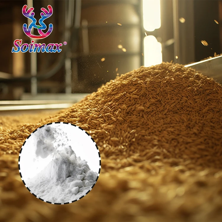 Soimax SYF-M1003 High Activity Stable  Nutrient-rich and Immune-Boosting  Bacillus Coagulans Probiotic