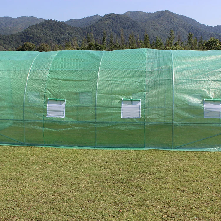 TLSP116 600cm(L) x350cm(W)x195cm(H) size other UV protected polytunnel garden greenhouse with metal door
