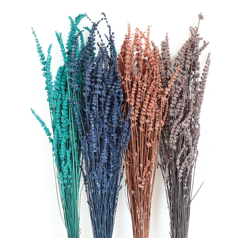 Yunnan Wholesale Dried Lavender Preserved Lavender Flowers for Home and Wedding Flower Decoration