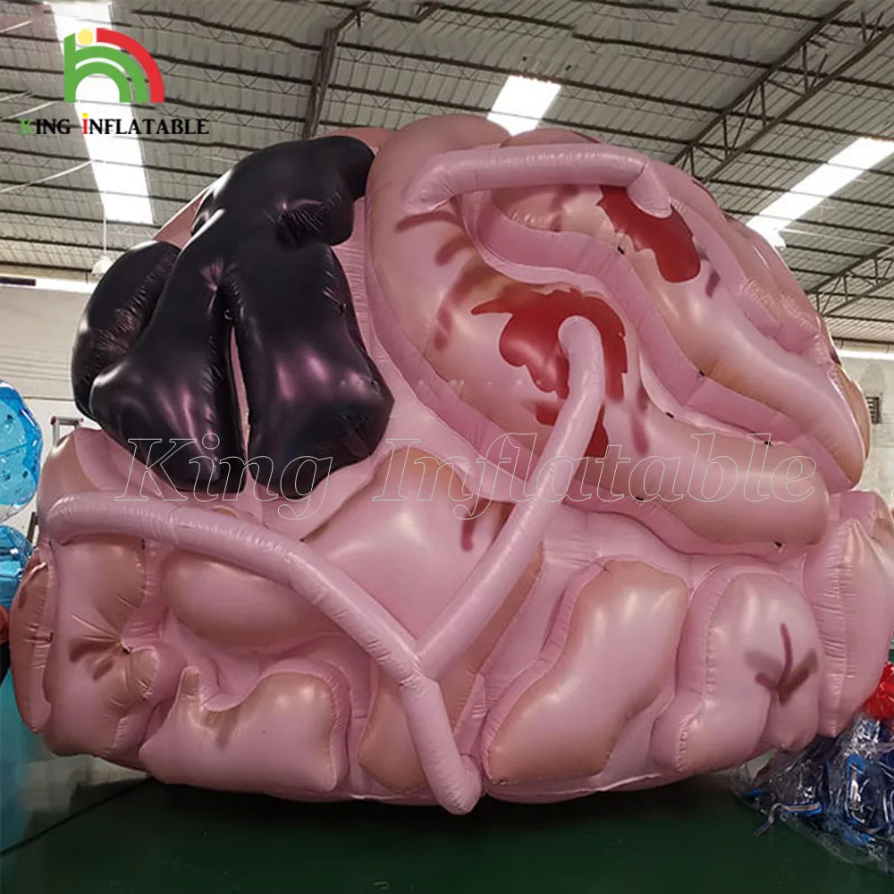 Giant Inflatable Brain Mental Health Sessions Exhibition Large Blow Up Human Big Brains Model