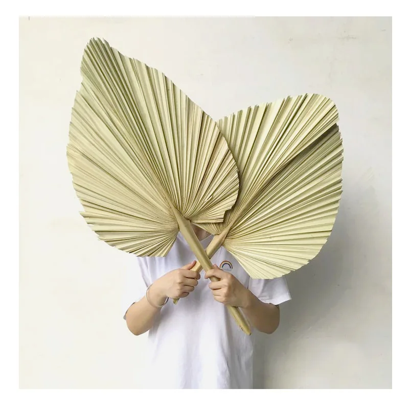 Wild Autumn Ins popular Home Decoration Real Natural Dried Flower Natural Palm Leaves For wedding decoration