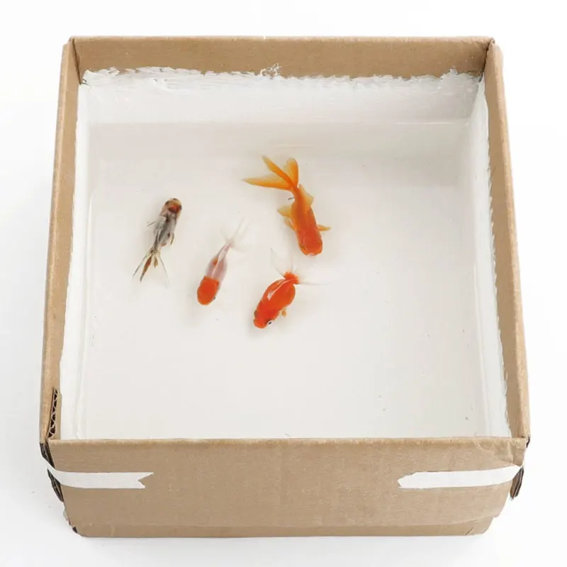 Hot Sale Good Elongation Waterproofing Polyurethane Coating For Roof Stop Water Material