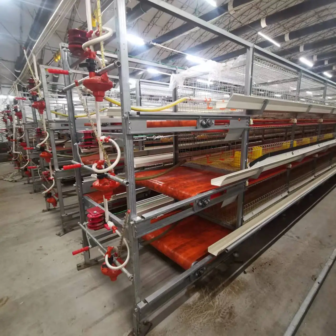 Broiler Chicken Cage System Battery Poultry A/H Type Chicken Broiler Cages For Growing Broiler
