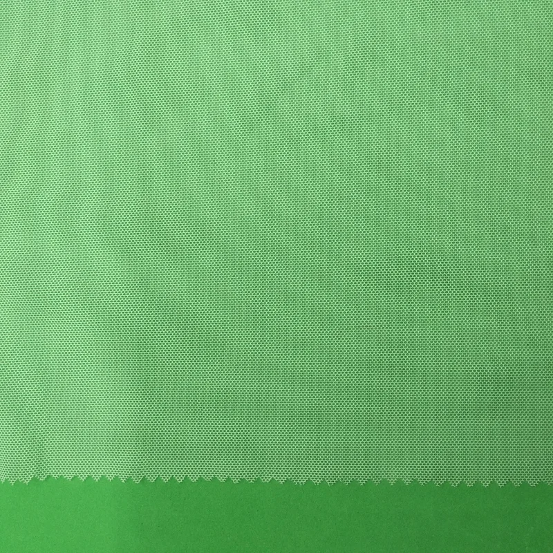 Popular Soft Mesh 30D Warp Knitted 100% Nylon Knitted Mesh Underwear Nylon Fabric