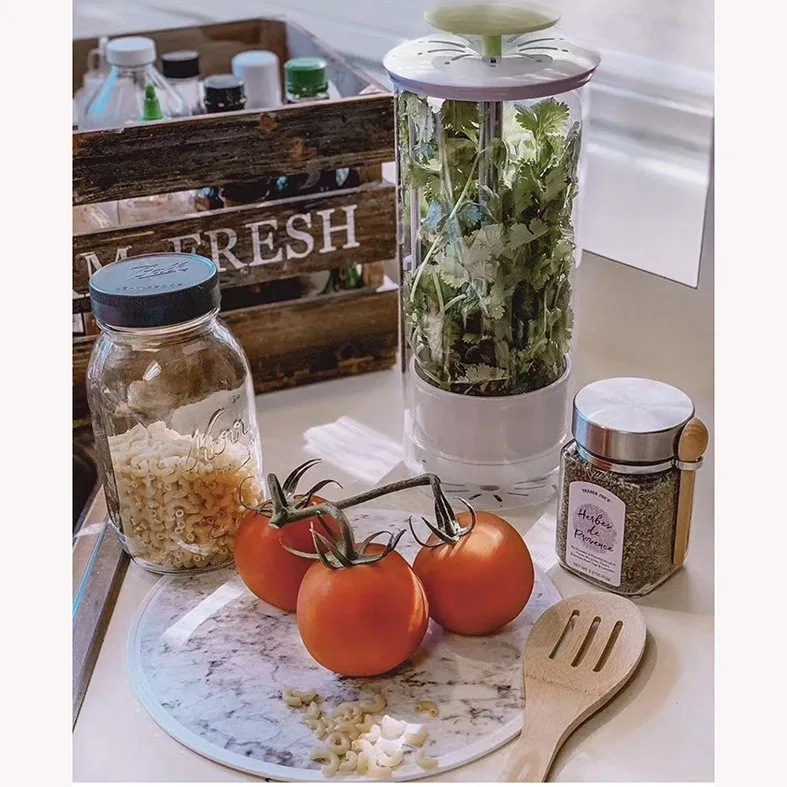 High Quality Breathable Borosilicate Glass Herb Keeper