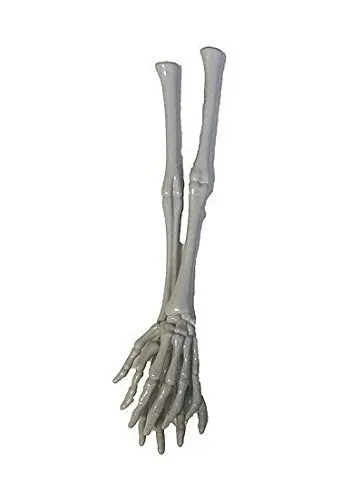 BSCI Certified Decorative Skeleton Hands for Halloween Parties Essential Party Decorations for Spooky Celebrations