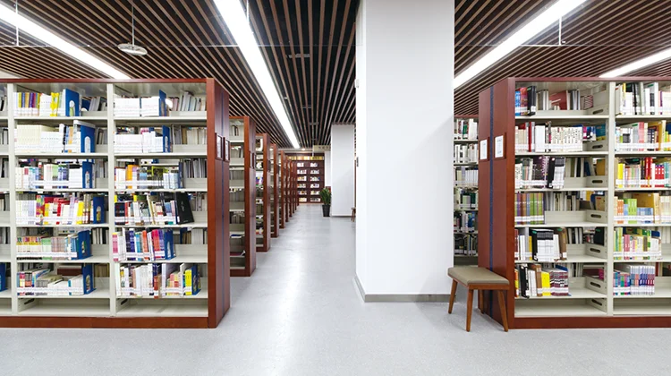 JINHU GROUP Factory Directly Wholesale steel wood  Book Shelf Large Library Book Shelves