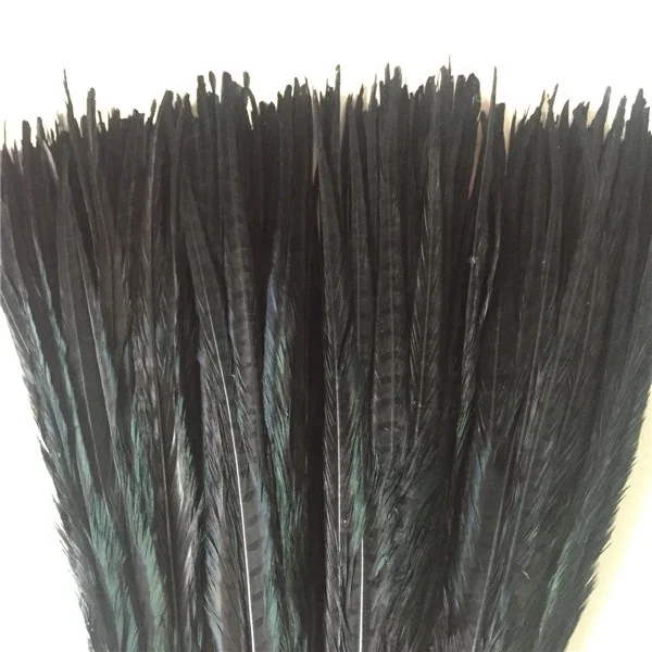 bleached and dyed 50-55cm ringneck pheasant tail feather