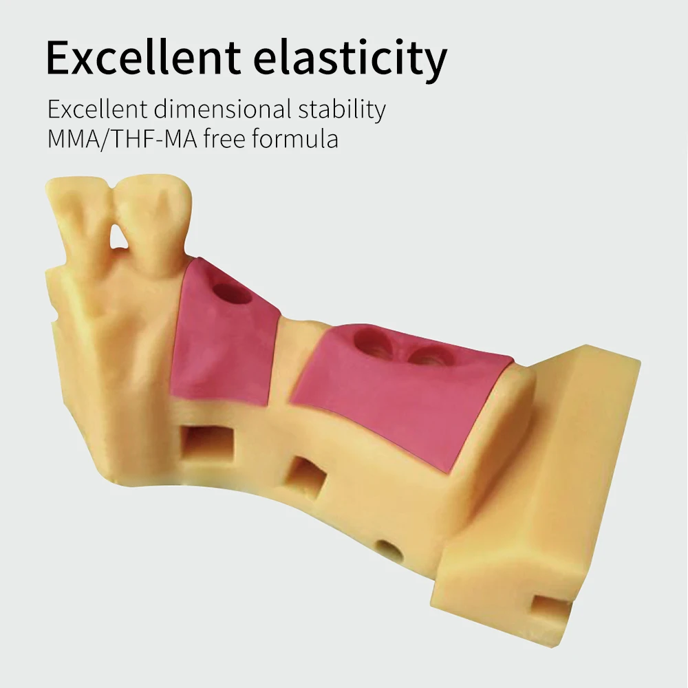 Pionext PN-GM  photopolymer resin for dental  tooth model resin dental 3d resin gingiva