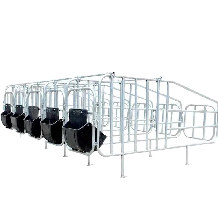 DN20 Galvanized Carbon steel tube Pig free stall limited pen cubicles