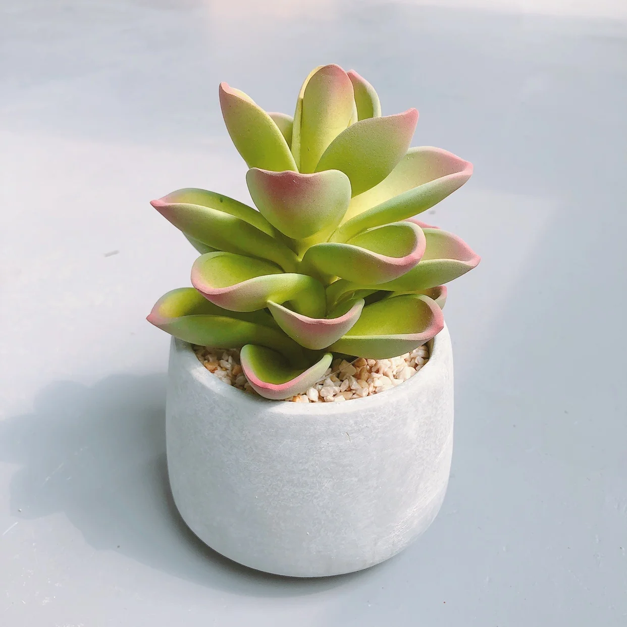 Оптовая продажа набор различных размеров поддельных кактусов суккулентов искусственных растений кактуса