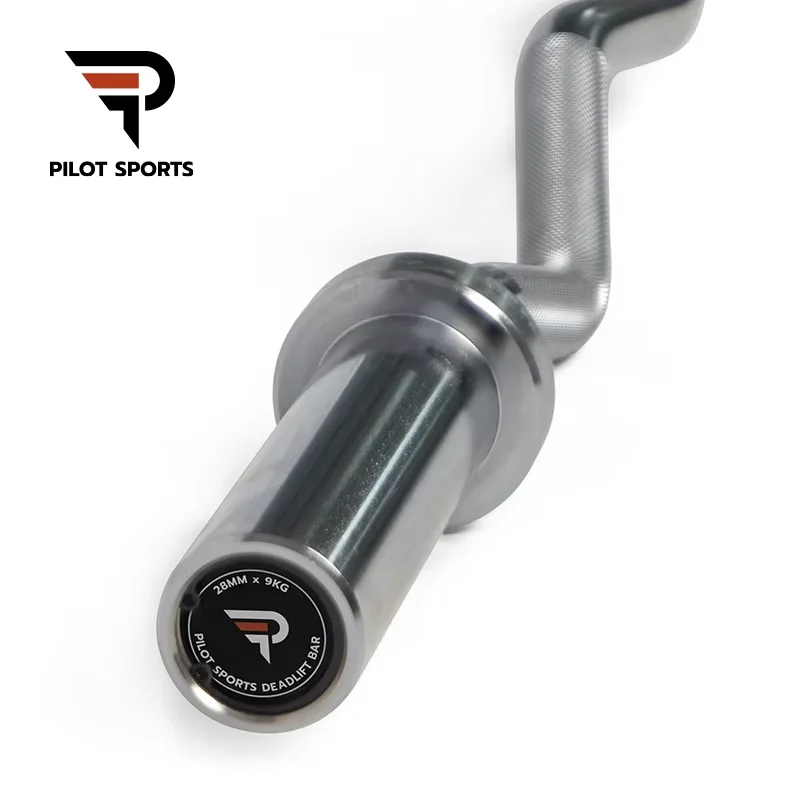 Pilot Sports Supplier Bench Press Squat Bar Power Weight Lifting 10 kg 15 kg 20 kg Regular Barbell Bar