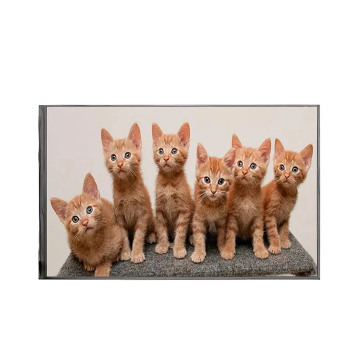 10.1 inch tft display 800*1280 MIPI IPS TFT LCD module