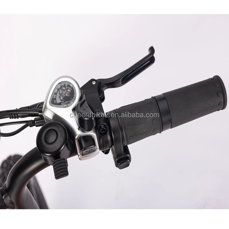 electric fatbike female 10.jpg