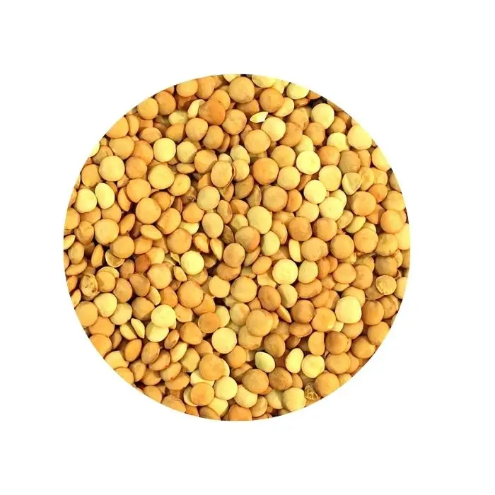 
 Сельскохозяйственный Урожай из линзы в больших пакетах, оптом  