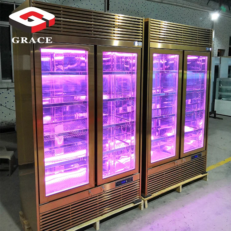 Meat Age Machine Small Beef Steak Dry Ager Fridge Home Cabinet Dry Aging Refrigerator