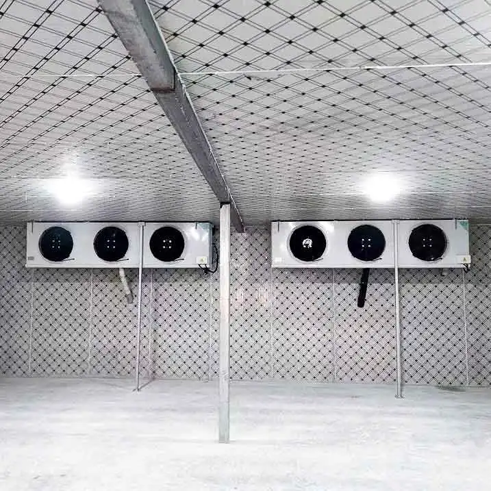Hot Sale Seafood Freezer Ultra Low Cold Room For Fish  Frozen  Solar Cold Storage Room Blast Chiller