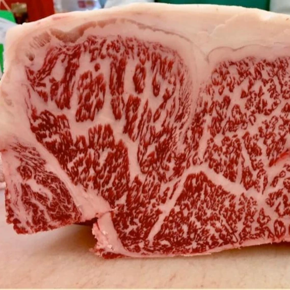 
beef meat frozen halal wagyu made in Japan Hida 
