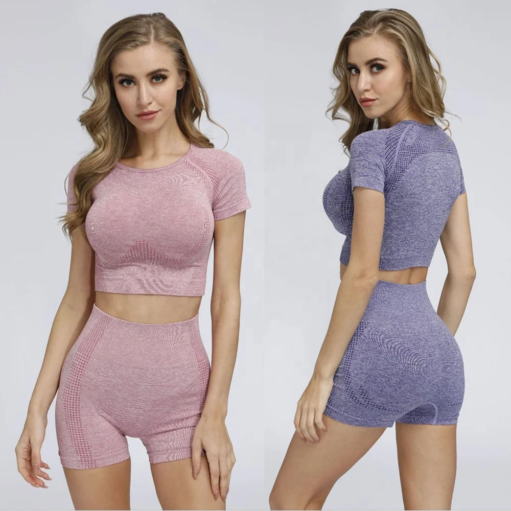 Seamless Women Gym Apparel Yoga Short Set High Waist Shorts And Shorts Sleeve Top Sports Wear