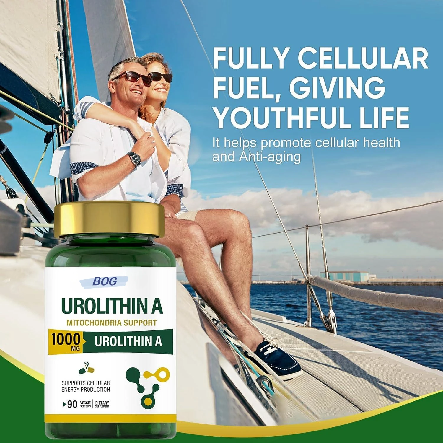 ODM Potency Urolithin A Capsules - 700mg, 60 Count - Premium Health Support Supplement