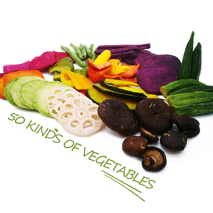 TTN 2024 Hot Sale Vacuum Fried Vegetable chips Products Catalogue List