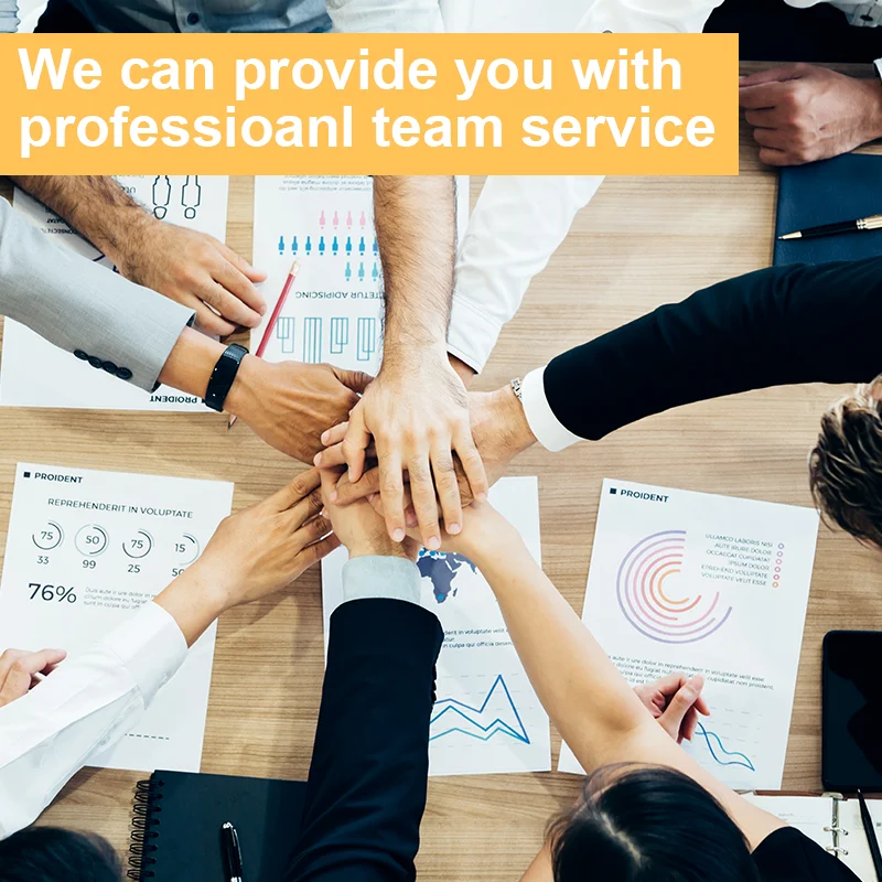 NEW SPEED DDP&DDU Shipping Fast Logistics Service International Sea Shipping Agent From China To Malaysia