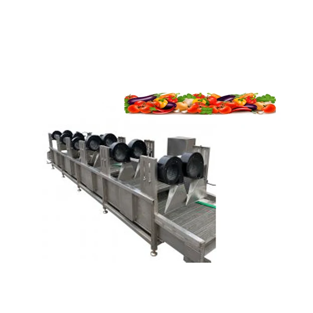 Commercial Dryer Equipment Fruits /Vegetables Air Drying Machine