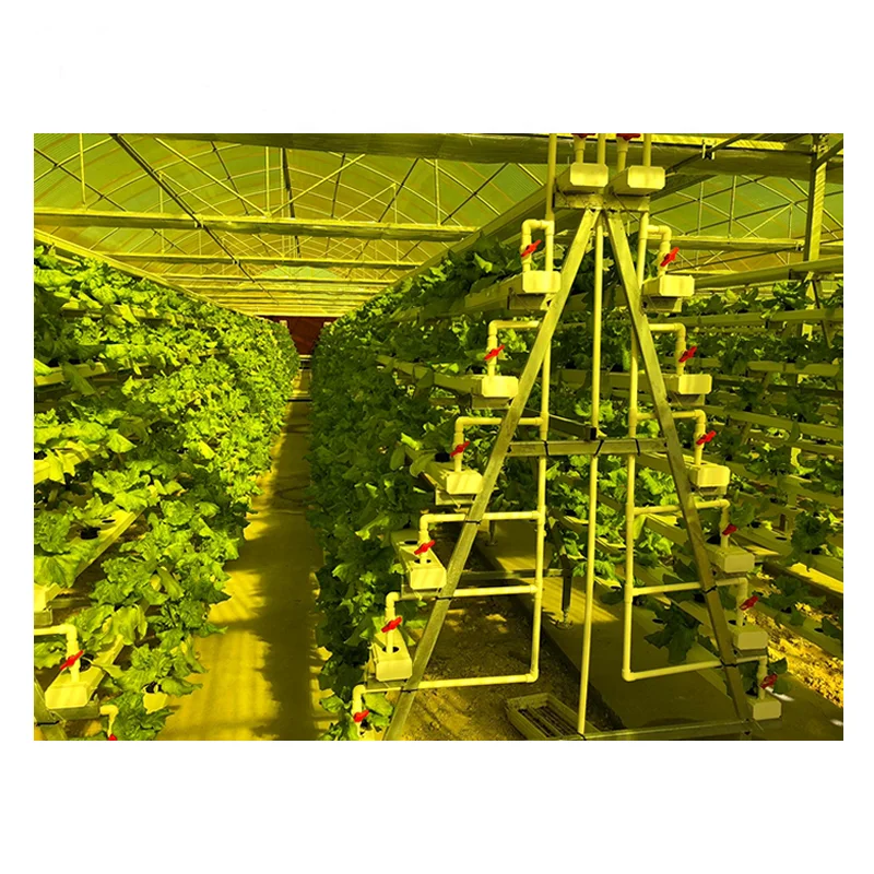 NFT Vertical Hydroponics Growing System Indoor Outdoor Greenhouse Grow System for Tomato Cucumber Strawberry